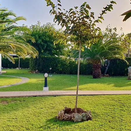 Golondrinas Apartament *